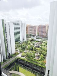 Blk 605D Tampines Greenridges (Tampines), HDB 4 Rooms #444544091